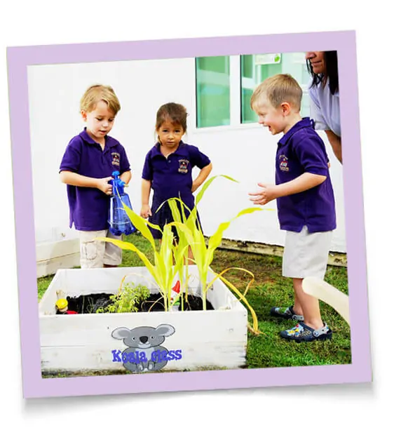 The Role Of Socialization In Early Childhood Education And Nursery Curriculum